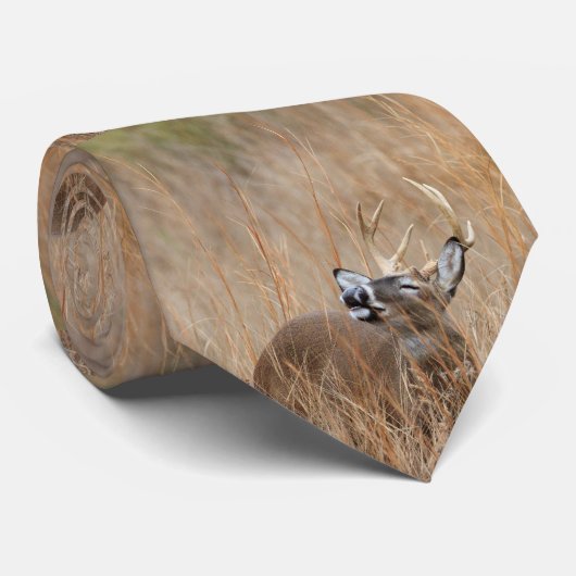 Dollar im Gras Krawatte (Gerollt)