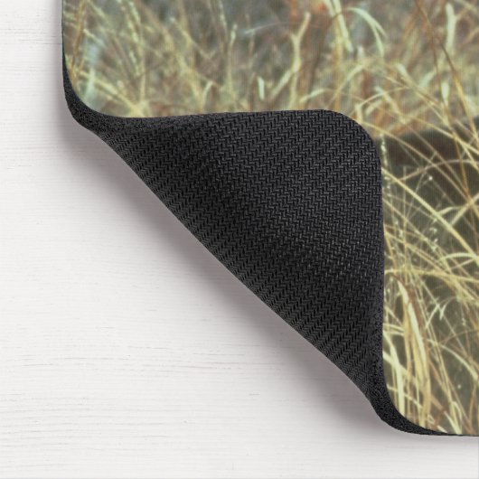 Dollar im Gras Mousepad (Ecke)