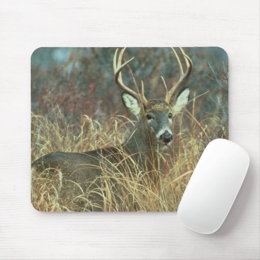 Dollar im Gras Mousepad (Mit Mouse)