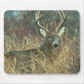 Dollar im Gras Mousepad (Vorne)