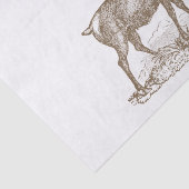 Dollar-Maultierhirsch-Briefbeschwerer-Art Seidenpapier (Ausschnitt)