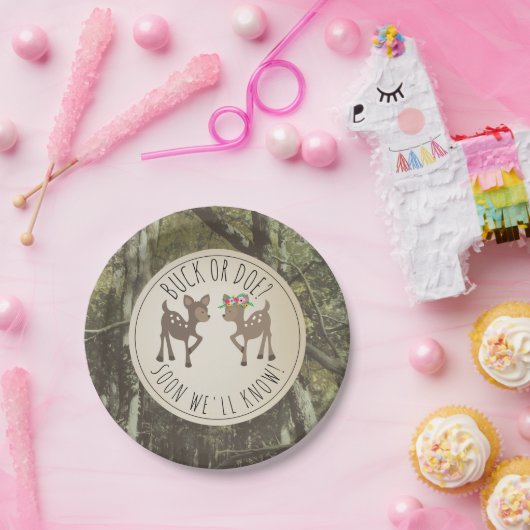 Dollar-oder Pappteller (Party)