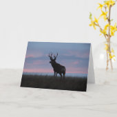 Dollar-Sonnenaufgang-Dollar des Maultierhirsch-D3 Karte (Gelbe Blume)