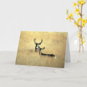 DOLLAR-U. DAMHIRSCHKUH-KARTE KARTE (Gelbe Blume)