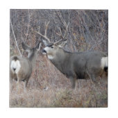 Dollar und Damhirschkuh des Maultierhirsch-D29 Fliese (Vorderseite)