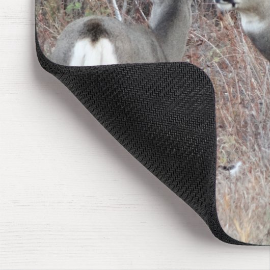 Dollar und Damhirschkuh des Maultierhirsch-D29 Mousepad (Ecke)