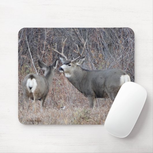 Dollar und Damhirschkuh des Maultierhirsch-D29 Mousepad (Mit Mouse)