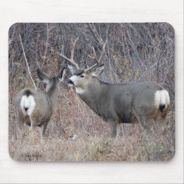 Dollar und Damhirschkuh des Maultierhirsch-D29 Mousepad