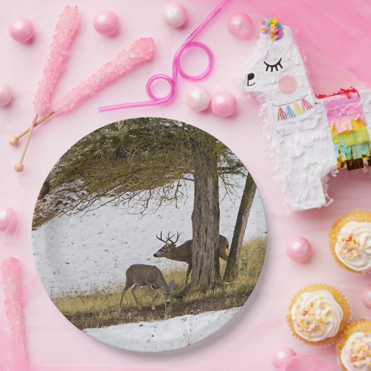 DOLLAR UND DAMHIRSCHKUH PAPPTELLER (Party)