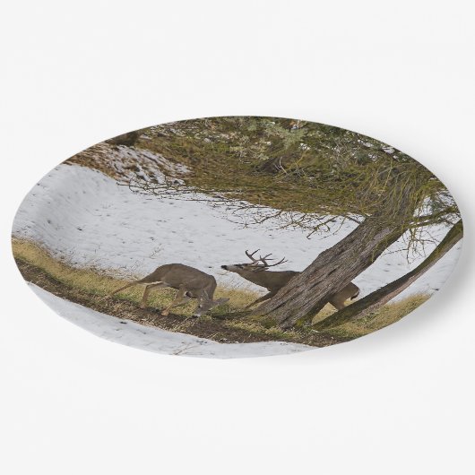 DOLLAR UND DAMHIRSCHKUH PAPPTELLER (Schrägansicht)