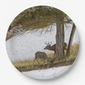 DOLLAR UND DAMHIRSCHKUH PAPPTELLER (Vorderseite)