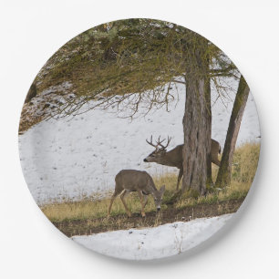 DOLLAR UND DAMHIRSCHKUH PAPPTELLER