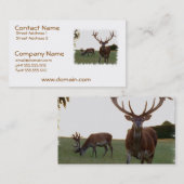 Dollar-Visitenkarten Visitenkarte (Vorne/Hinten)