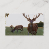 Dollar-Visitenkarten Visitenkarte (Rückseite)