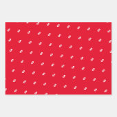 Dollarmünzzeichen-Muster-Wrap-Papierbögen Geschenkpapier Set (Vorderseite)