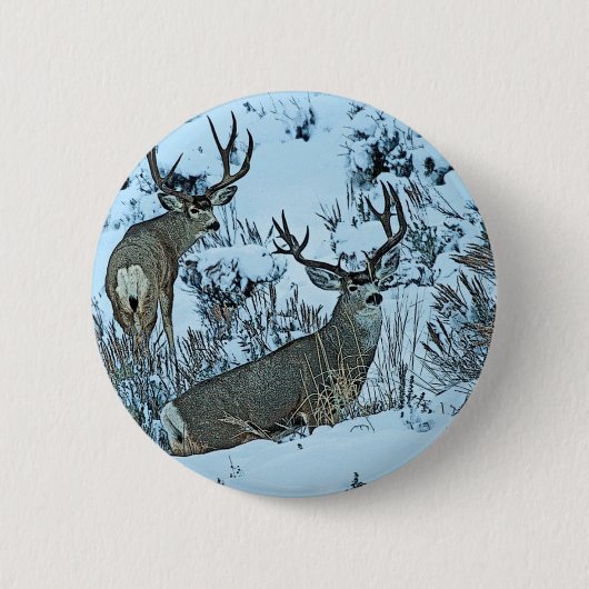 Dollarrotwild im Schnee Button (Vorderseite)