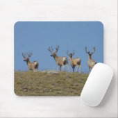 Dollars des Maultierhirsch-D9 im Samt Mousepad (Mit Mouse)