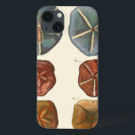 Dollars-Edelsteine Case-Mate iPhone Hülle<br><div class="desc">Sand Dollars sind ein einzigartiges Juwel im Meer. Dieses Bild enthält sehr einzigartige und farbenfrohe Sand Dollars. Diderot kontrastierte diese Sand Dollars mit einem weichen,  cremefarbenen Hintergrund. Holen Sie sich heute Ihre Sand-Dollar-Edelsteine auf Ihrem Zazzle-Produkt.</div>