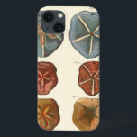 Dollars-Edelsteine iPhone 13 Hülle<br><div class="desc">Sand Dollars sind ein einzigartiges Juwel im Meer. Dieses Bild enthält sehr einzigartige und farbenfrohe Sand Dollars. Diderot kontrastierte diese Sand Dollars mit einem weichen,  cremefarbenen Hintergrund. Holen Sie sich heute Ihre Sand-Dollar-Edelsteine auf Ihrem Zazzle-Produkt.</div>