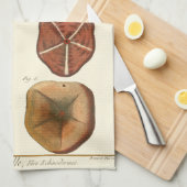 Dollars-Edelsteine Handtuch (Viertel Falte)