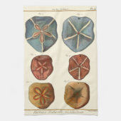 Dollars-Edelsteine Handtuch (Vertikal)