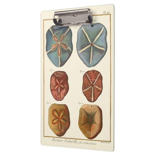 Dollars-Edelsteine Klemmbrett (Links)