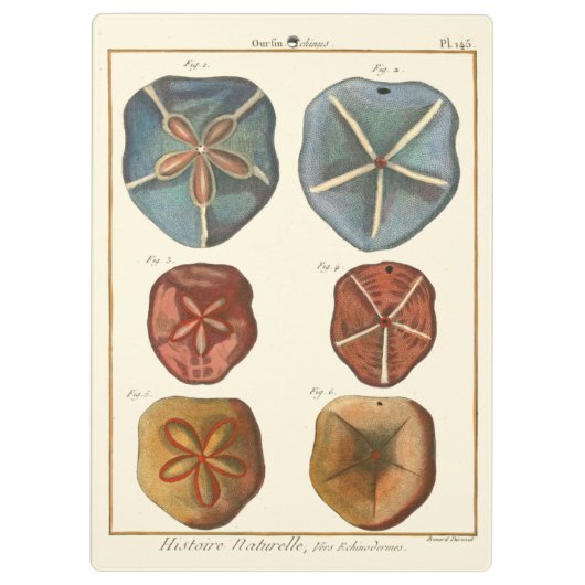 Dollars-Edelsteine Klemmbrett (Rückseite)