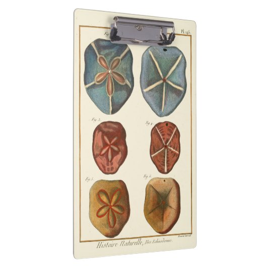 Dollars-Edelsteine Klemmbrett (Rechts)