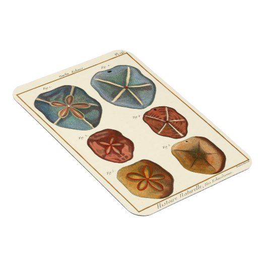 Dollars-Edelsteine Magnet (Rechte Seite)