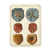 Dollars-Edelsteine Magnet (Vertikal)