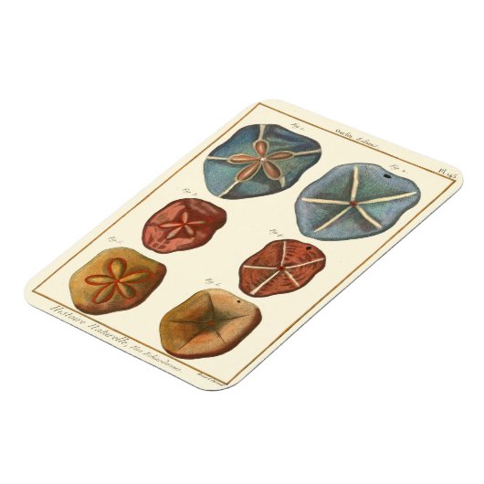 Dollars-Edelsteine Magnet (Linke Seite)