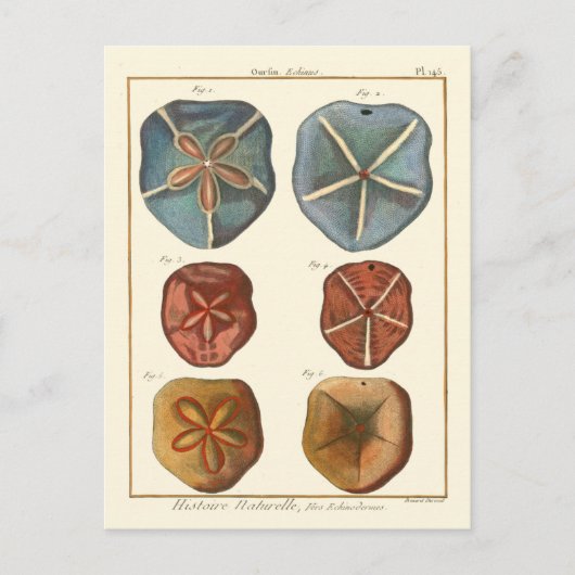 Dollars-Edelsteine Postkarte (Vorderseite)