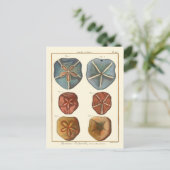 Dollars-Edelsteine Postkarte (Stehend Vorderseite)