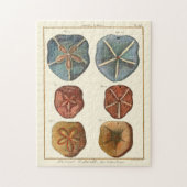 Dollars-Edelsteine Puzzle (Vertikal)