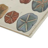 Dollars-Edelsteine Schneidebrett (Ecke)