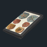 Dollars-Edelsteine Tri-fold Geldbeutel<br><div class="desc">Sand Dollars sind ein einzigartiges Juwel im Meer. Dieses Bild enthält sehr einzigartige und farbenfrohe Sand Dollars. Diderot kontrastierte diese Sand Dollars mit einem weichen,  cremefarbenen Hintergrund. Holen Sie sich heute Ihre Sand-Dollar-Edelsteine auf Ihrem Zazzle-Produkt.</div>