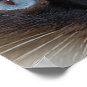 DOLLEN SIE DIE RAGDOLL CAT POSTER (Ecke)