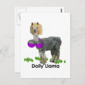 Dolly Llama Postkarte (Vorne/Hinten)