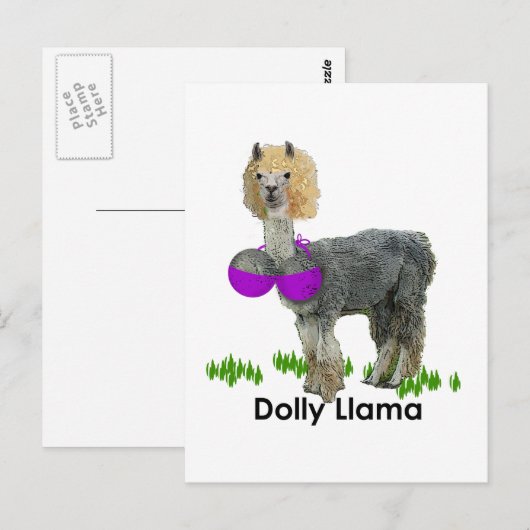 Dolly Llama Postkarte (Vorne/Hinten)