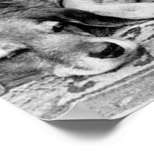 Dolly Mama: 1900 Poster (Ecke)