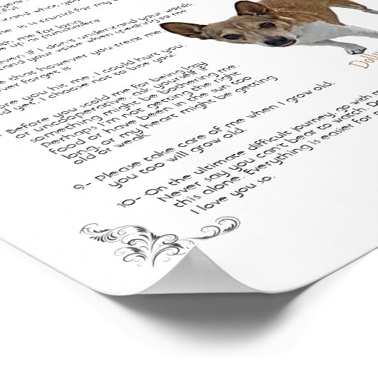 Dolly - Poster (Ecke)