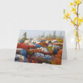 Dolly Sods Wilderness wird mit Nebel Landschaftlic Karte (Gelbe Blume)