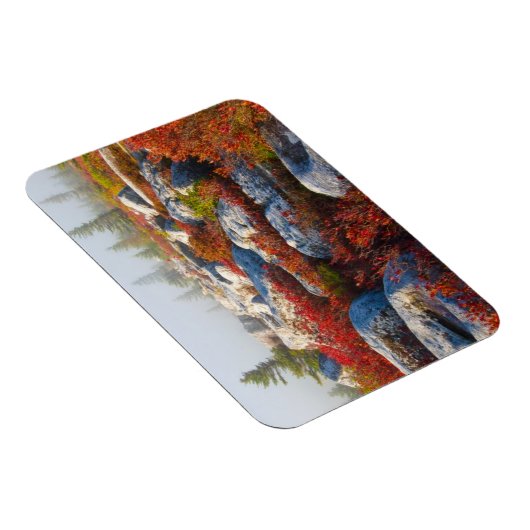 Dolly Sods Wilderness wird mit Nebel Landschaftlic Magnet (Rechte Seite)