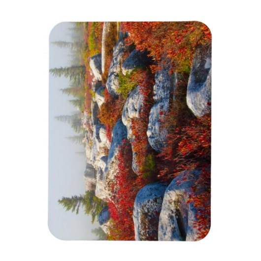 Dolly Sods Wilderness wird mit Nebel Landschaftlic Magnet (Vertikal)
