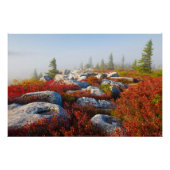 Dolly Sods Wilderness wird mit Nebel Landschaftlic Poster (Vorderseite)
