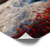 Dolly Sods Wilderness wird mit Nebel Landschaftlic Poster (Ecke)