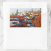Dolly Sods Wilderness wird mit Nebel Landschaftlic Rechteckiger Aufkleber (Tasche)