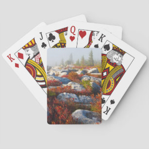 Dolly Sods Wilderness wird mit Nebel Landschaftlic Spielkarten