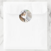 Dolly the Cat Looking out Window Stickers (Tasche)