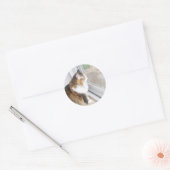 Dolly the Cat Looking out Window Stickers (Umschlag)